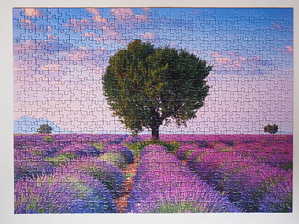 green tree puzzle, solved, finish, piecing together, play, patience HD wallpaper