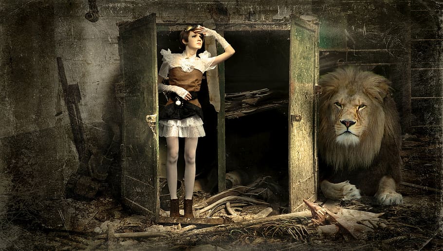 woman at the door near lying at the door, cabinet, lion, lapsed