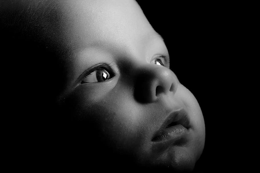 baby's face in grayscale photography, eyes, learning, watch HD wallpaper
