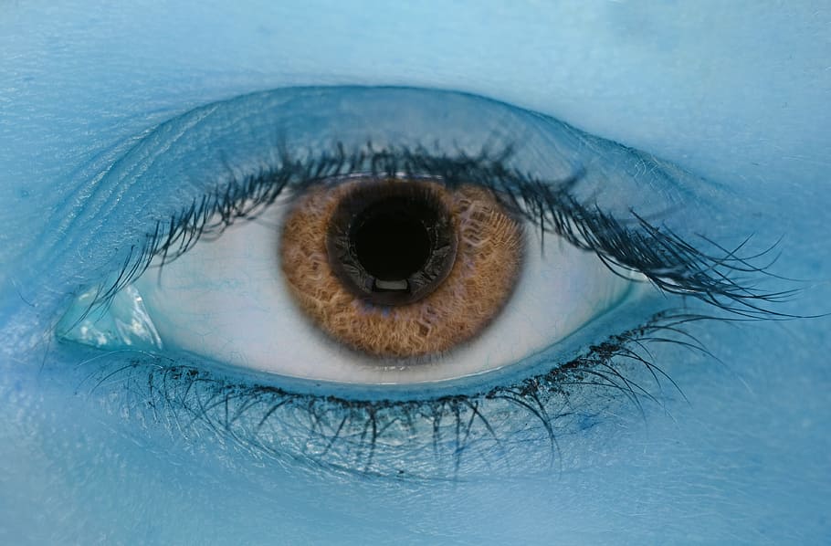 brown human eye on close-up photography, color, blue, view, light