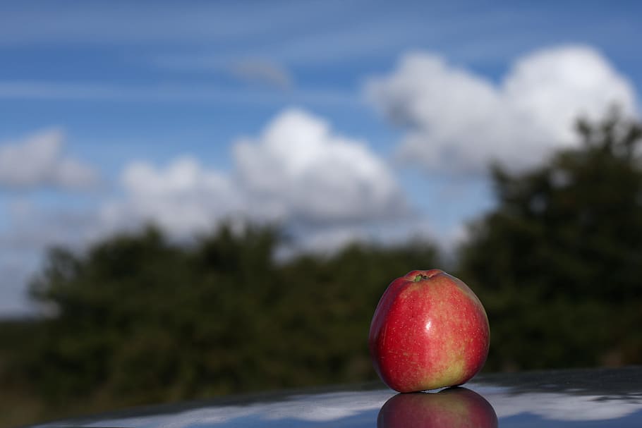 apple, mirroring, sky, harvest, thanksgiving, eat, healthy HD wallpaper