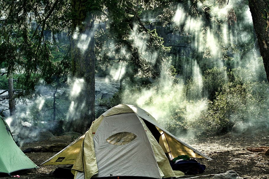 Camping in the Yosemite Valley at Yosemite National Park, California, HD wallpaper