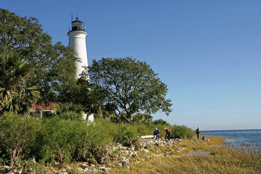 lighthouse, trees, coastline, st marks lighthouse, beach, tourism HD wallpaper