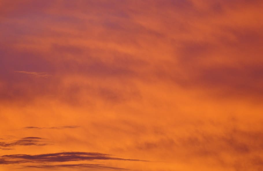 light, dawn, nature, sky, abstract, background, backlit, blur HD wallpaper