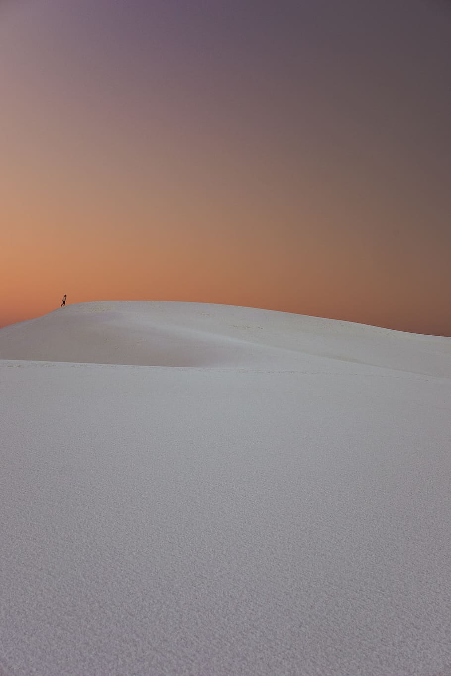 person walking in the desert dunes, White Space, sand, sunset HD wallpaper