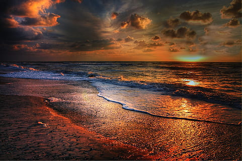 seashore at golden hour, ocean, sun, denmark, summer, sunset HD wallpaper