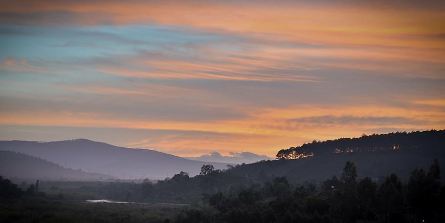 dawn, forest, hill, sunset, sky, scenics, beauty in nature HD wallpaper