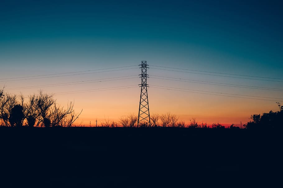 tree, plant, branch, dark, sunset, sky, silhouette, transmission HD wallpaper