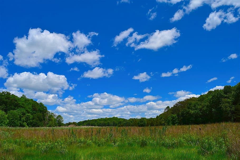 Field, Clouds, Sky, Blue, Nature, landscape, sun, outdoor, natural HD wallpaper