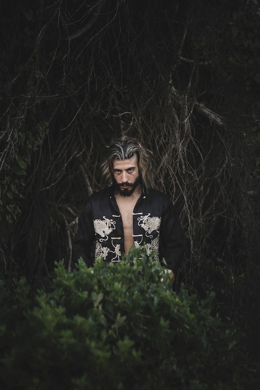 man standing behind bush, man standing near plant, male, beard HD wallpaper