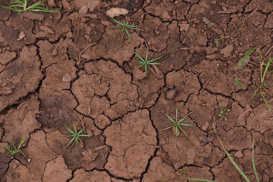 clay, ground, dry, texture, drought, cracks, earth, brown, mud