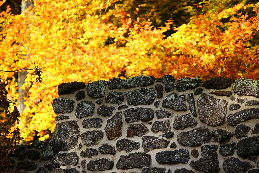 wall, iron ore, klump, grotto, ruin, castle park, ludwigslust-parchim, HD wallpaper