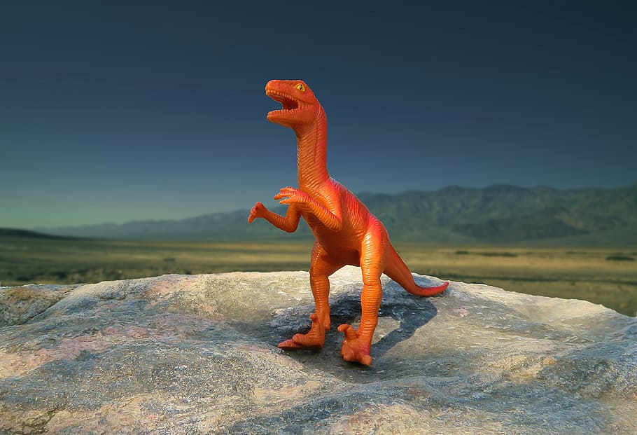 dinosaur, prehistoric, creature, predator, animal, tyrannosaurus HD wallpaper