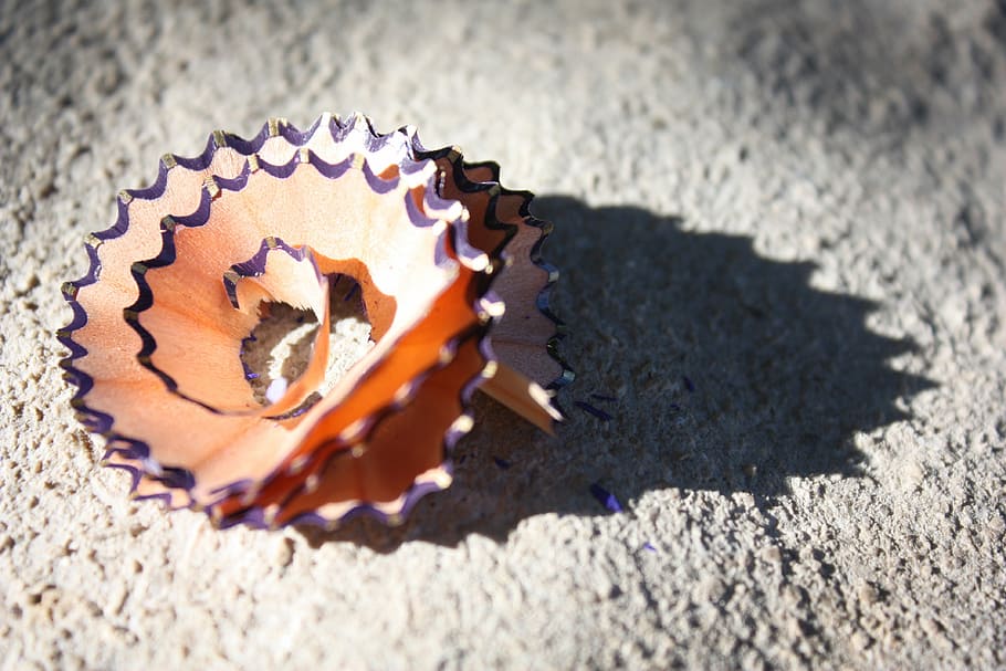curl, pencil, pencil temperate, sunlight, shadow, no people HD wallpaper