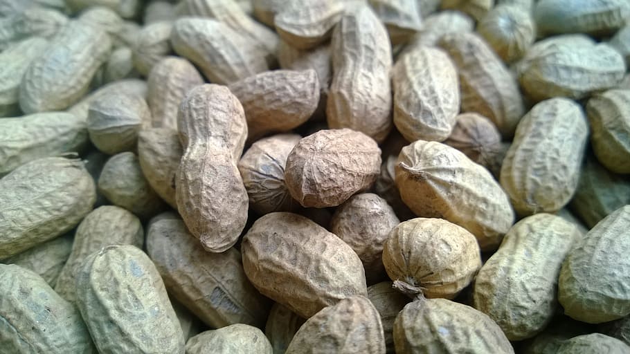 bundle of peanuts, food, healthy, nature, vegetarian, macro, fruit, HD wallpaper