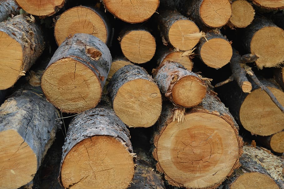Logs, Wood, Stack, timber, wood - material, woodpile, deforestation HD wallpaper