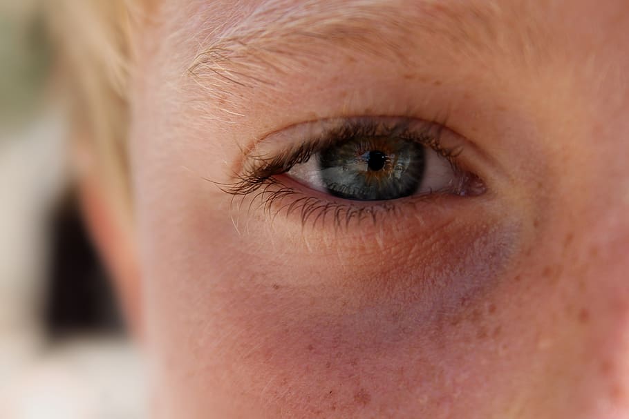 eye, face, eyes, eyelashes, human body part, close-up, human eye HD wallpaper