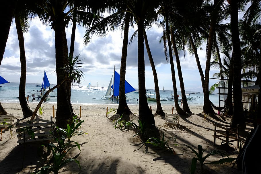 white beach, boracay, cloud, water, sea, tree, land, palm tree HD wallpaper