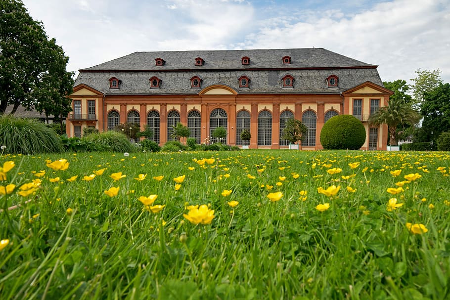 orangery, architecture, spring, flowers, places of interest HD wallpaper
