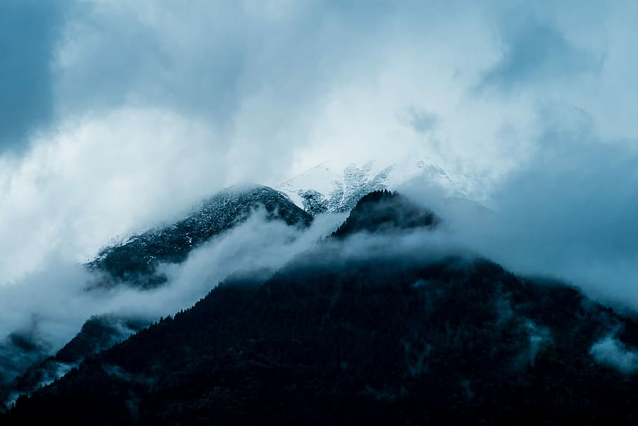 mountain with trees covered with clouds, aerial photography of fog covered mountain HD wallpaper