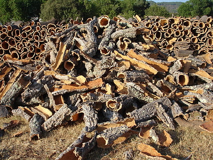 Bark, Cork, Tree, Cork Oak, Nature, natural product, cork board HD wallpaper