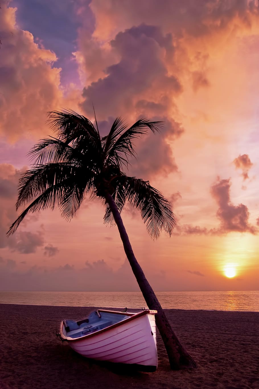 white boat beside coconut tree on the beach during sunset, palm tree HD wallpaper