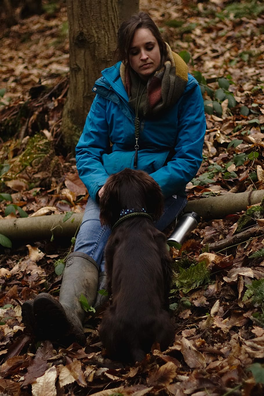 woman wearing windbreaker jacket facing the dog, outdoors, autumn HD wallpaper