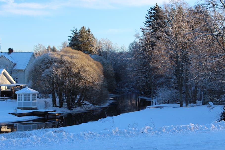 snow, winter, cold, frost, cold temperature, tree, architecture HD wallpaper