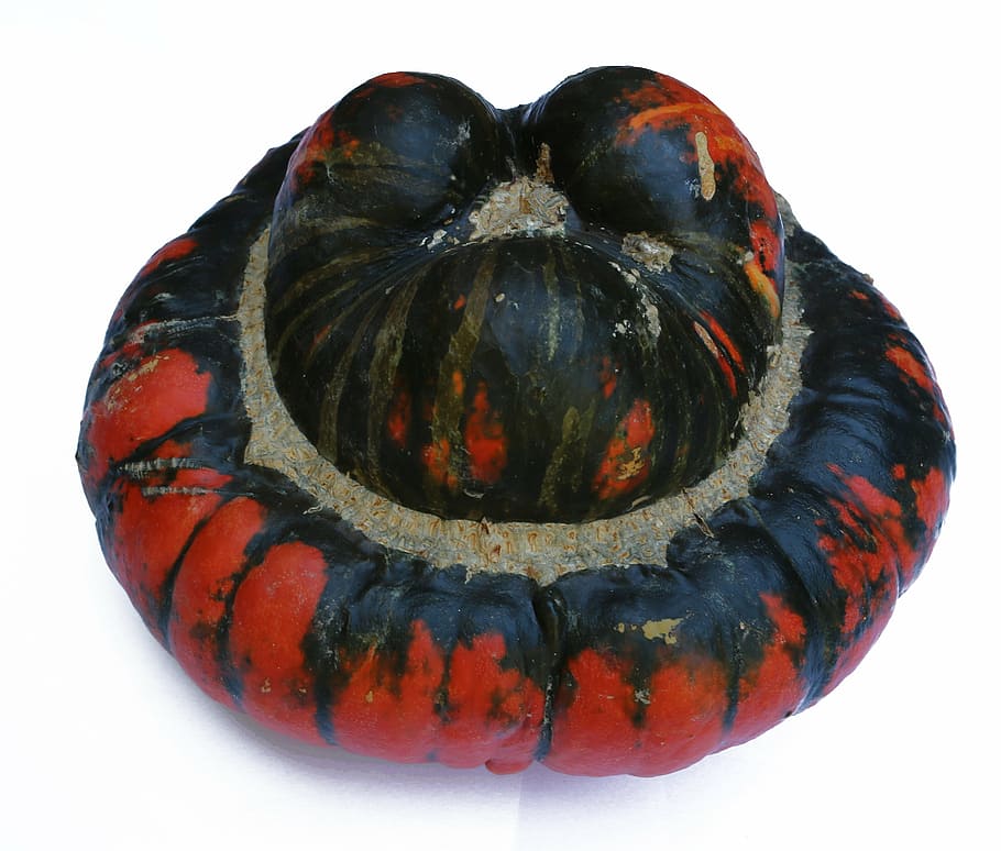 pumpkin, fall, gourd, halloween, holiday, harvest, decoration HD wallpaper
