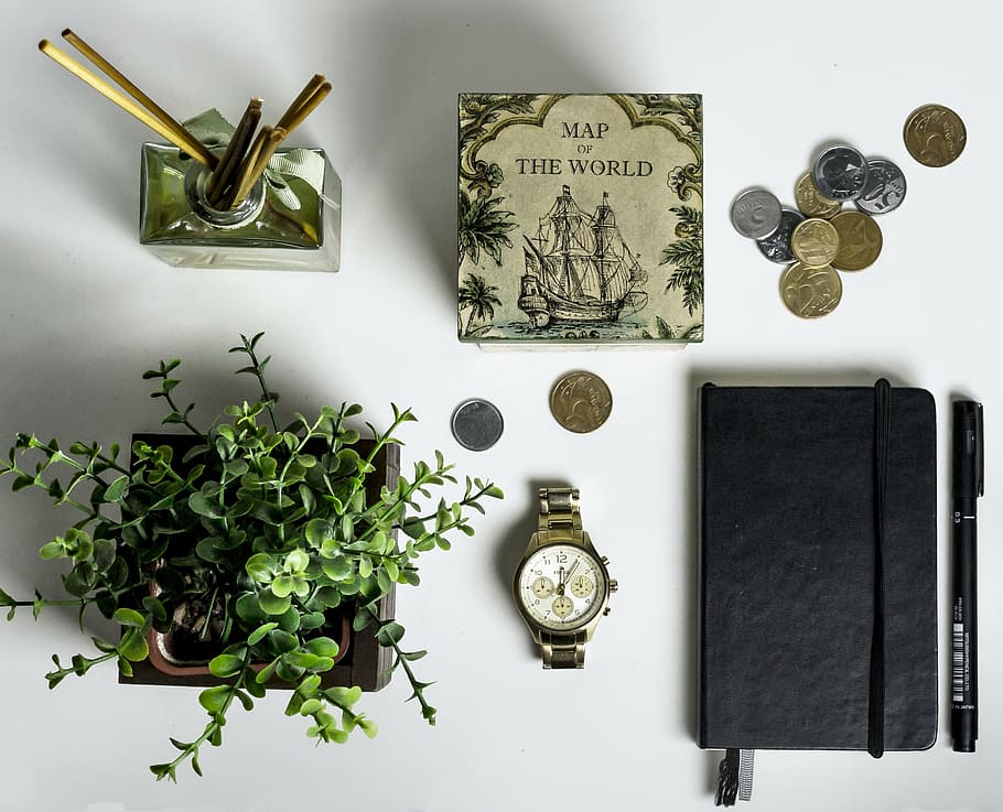 top view of pile of coins and black leather journal case and green leaf plant on white table top, HD wallpaper