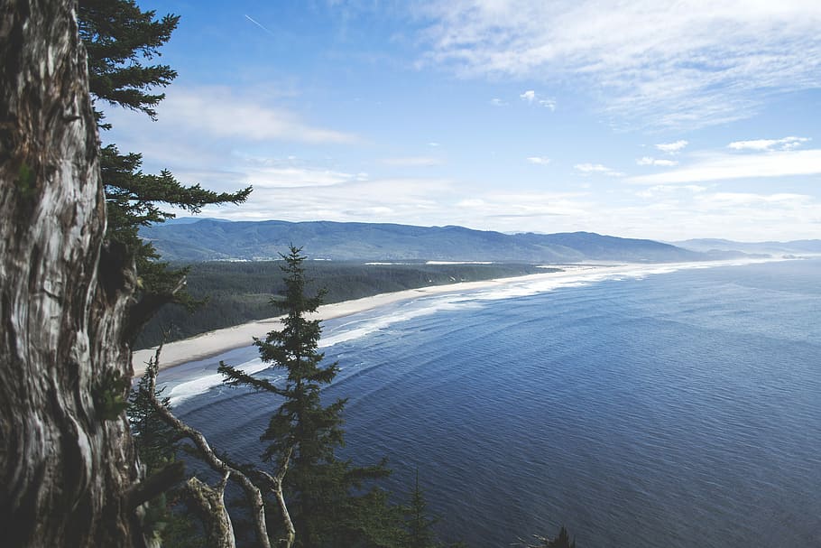 white sand beach near green mountain photo, aerial photography of beach during daytime HD wallpaper