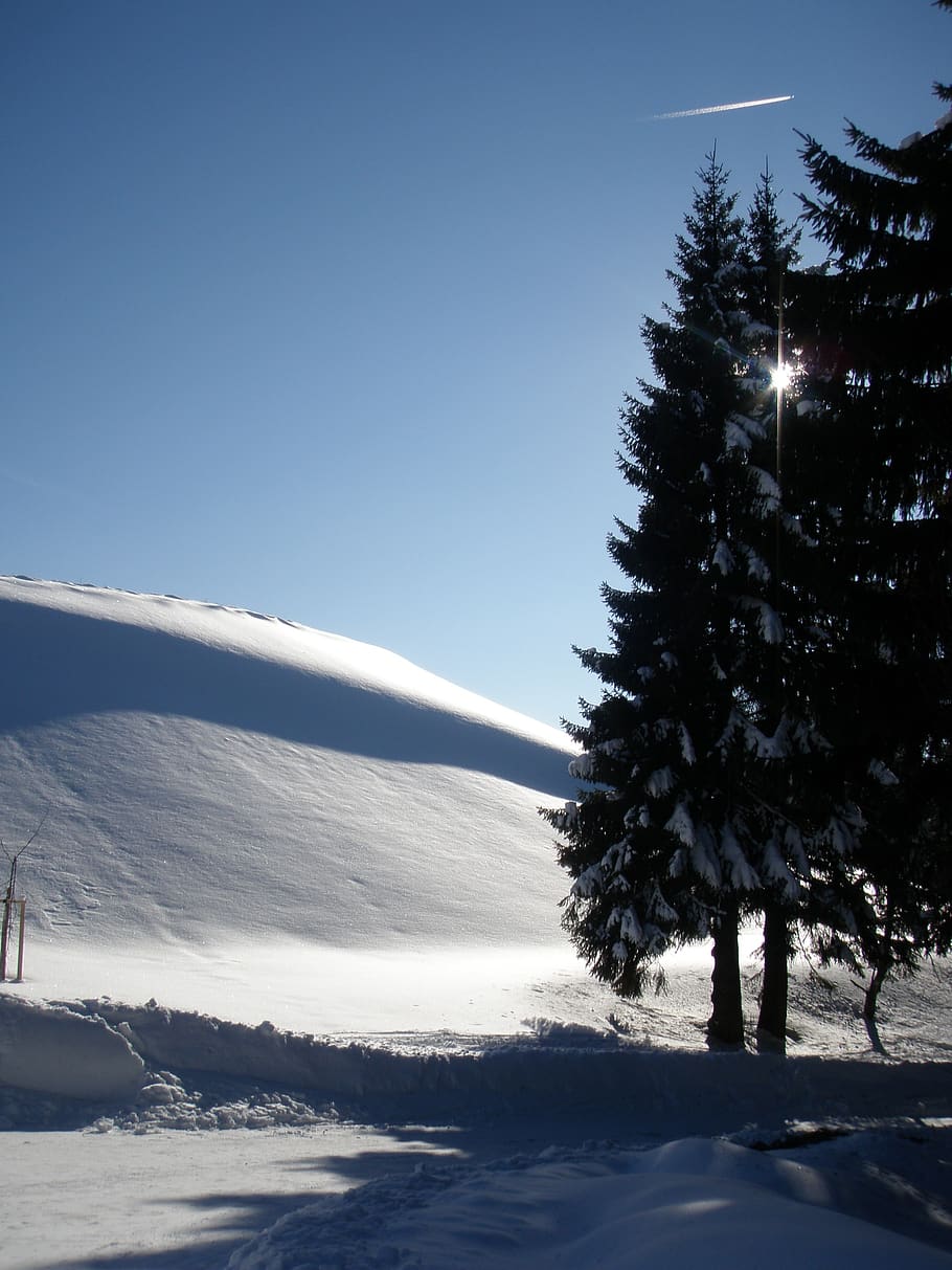 winter, snow, nature, wintry, winter cold, cold temperature HD wallpaper