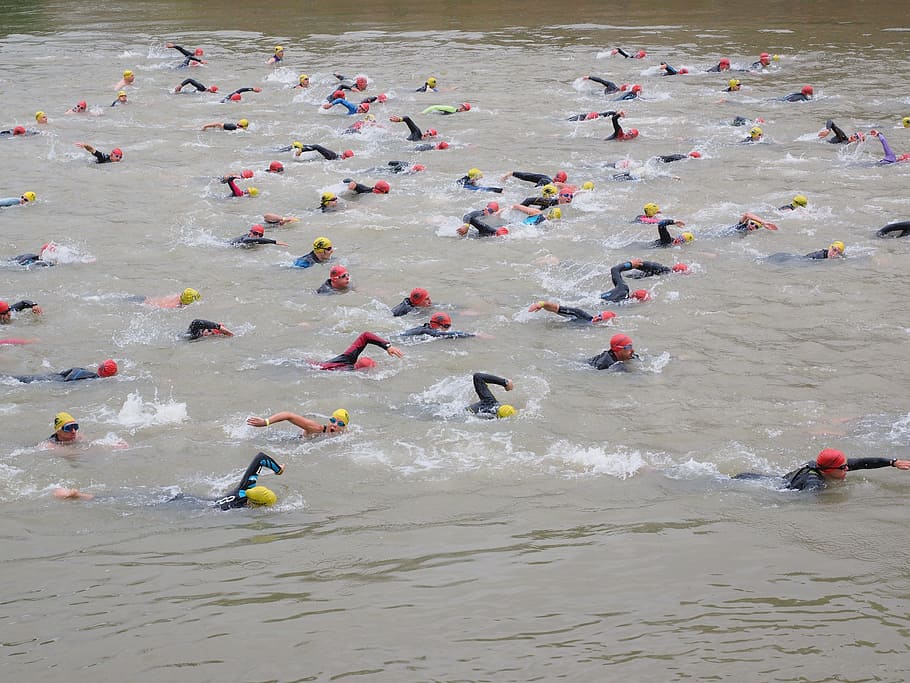 group of people swimming, competition, crawl, involved, track and field athletes HD wallpaper