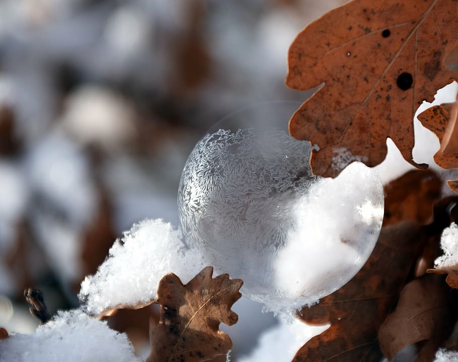 bubble, soap bubble, iridescent, winter, snow, eiskristalle HD wallpaper