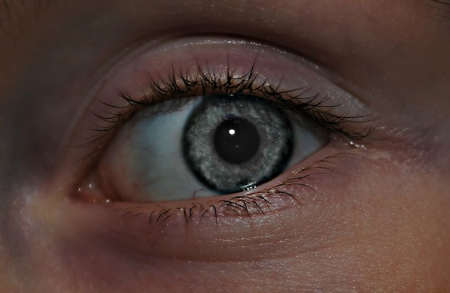 eye, gray, color, face, young, white, grey, woman, female, looking HD wallpaper