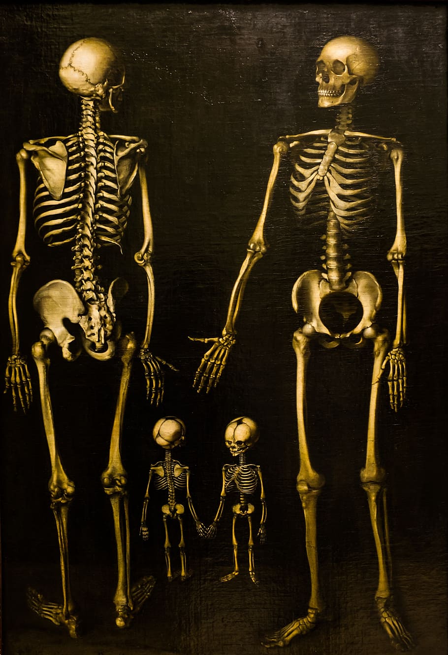 human skeleton painting, skeletons, family, box, bones, skull