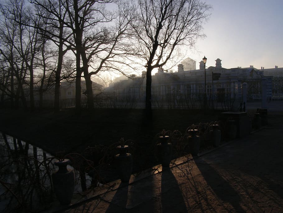 Morning, Trees, Bridge, park, architecture, skyline, city, building HD wallpaper