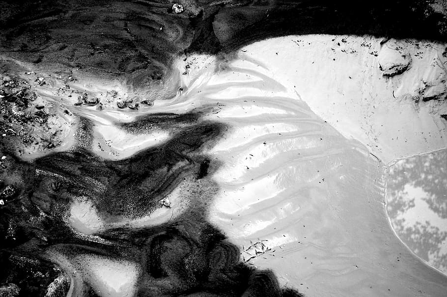 gray and black sand and water, grayscale photo of dog, mud, wet HD wallpaper