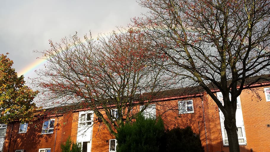 rainbow, sky, outdoor, tree, building exterior, architecture HD wallpaper