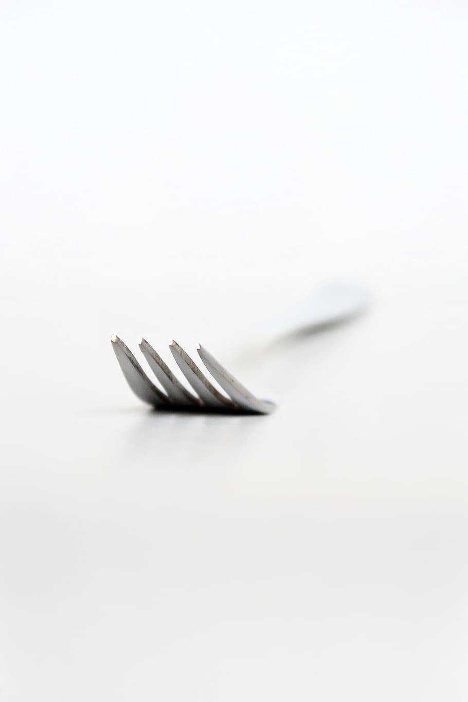 fork, cutlery, metal, tableware, close, white background, copy space HD wallpaper