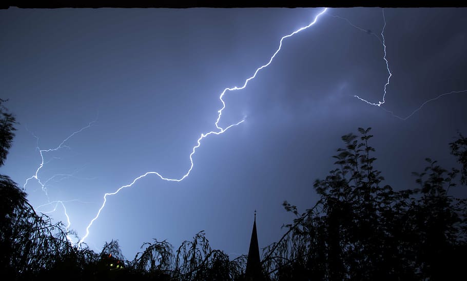 lightning strikes at tree during night time, storm, thunderstorm HD wallpaper