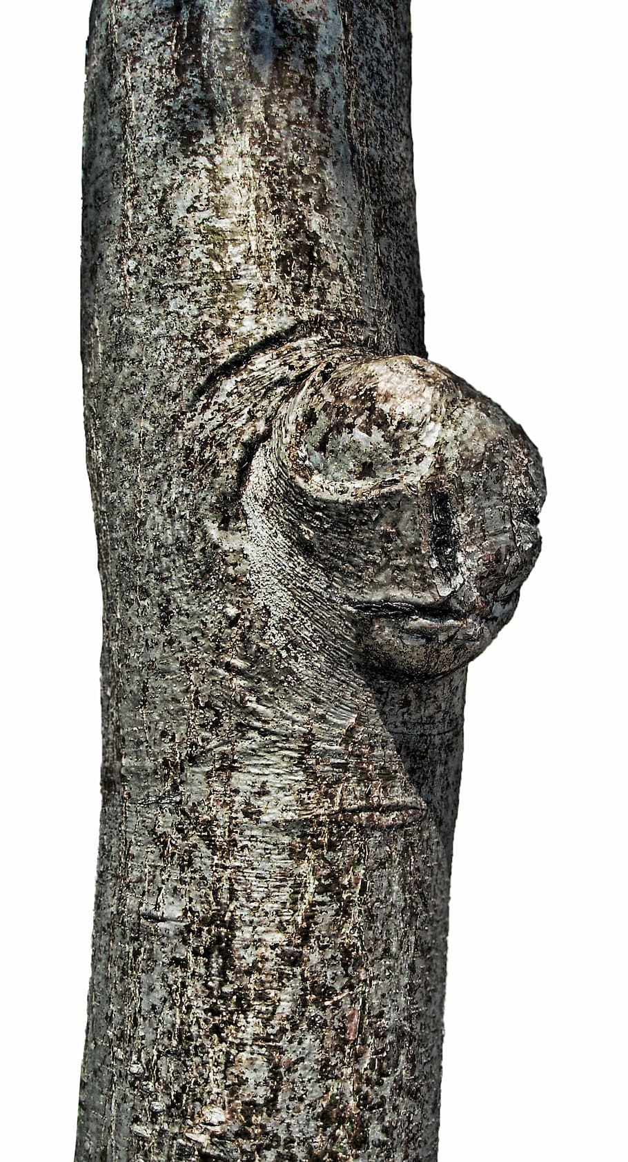 tree knot, nature, texture, timber, natural, rough, knotted HD wallpaper