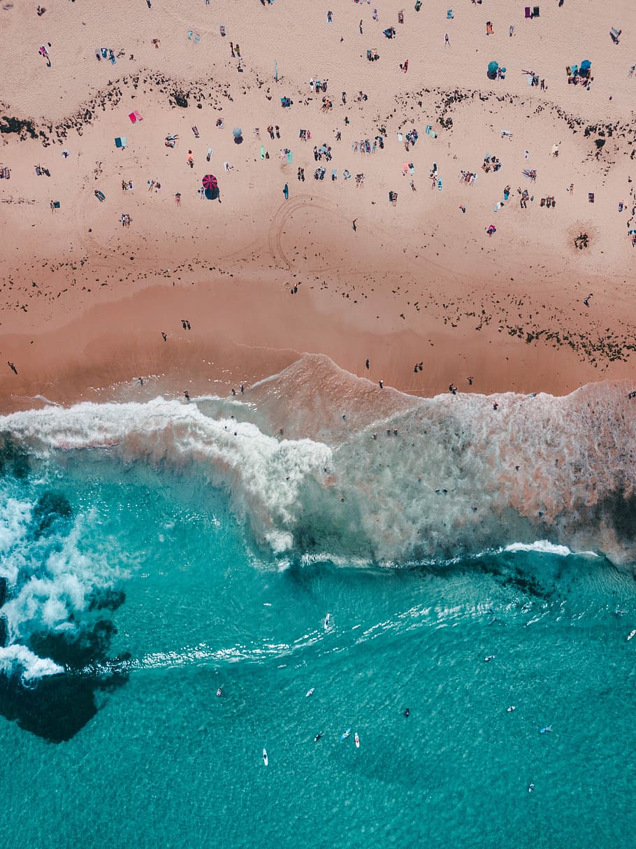 top view of people near beach shore, untitled, crowd, sand, surf HD wallpaper