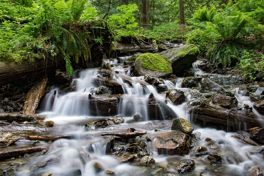 nature, water, rocks, forest, cascade, creek, falls, flow, moss HD wallpaper