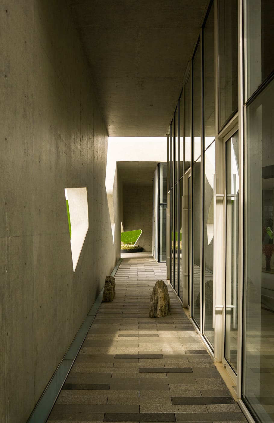 building, modern, light and shadow, animal themes, one animal HD wallpaper