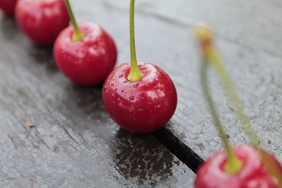 cherries in shallow focus shot, sour cherry, meggyek, fruit HD wallpaper