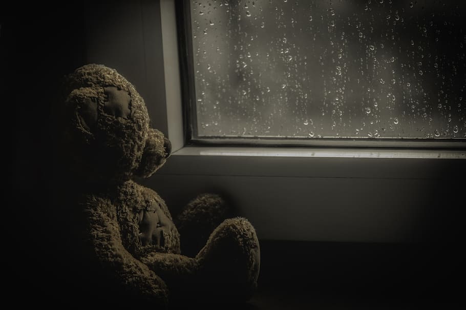 background, darkness, light, room, teddy, window, indoors, representation HD wallpaper