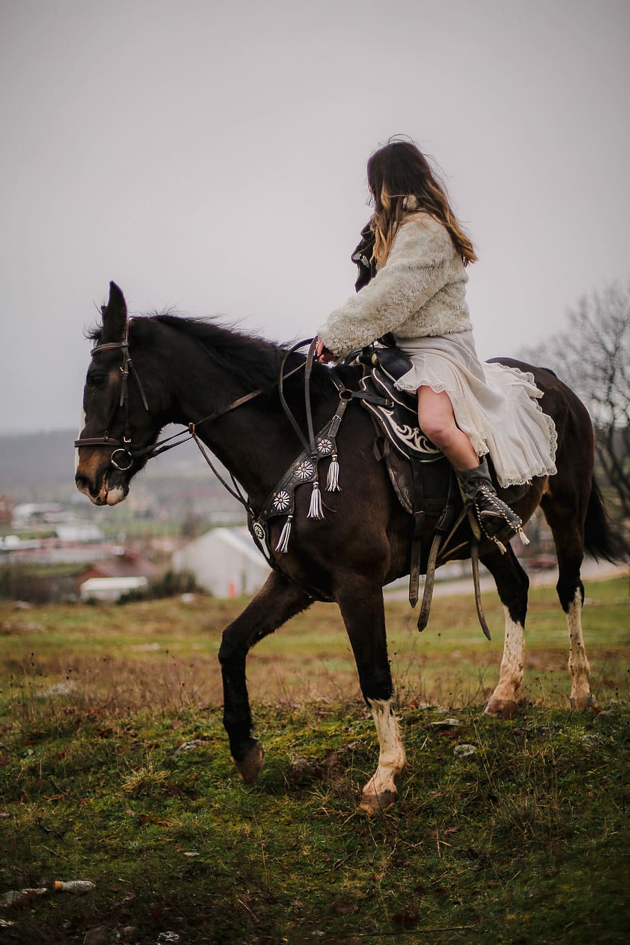100+ Horse Riding Pictures [HD] | Download Free Images on Unsplash