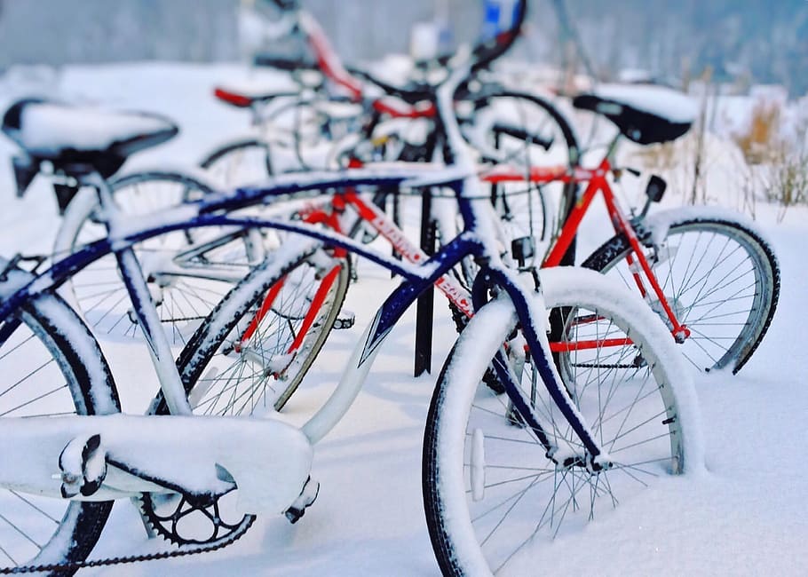 bicycles, winter, snow, cold, transportation, land vehicle HD wallpaper