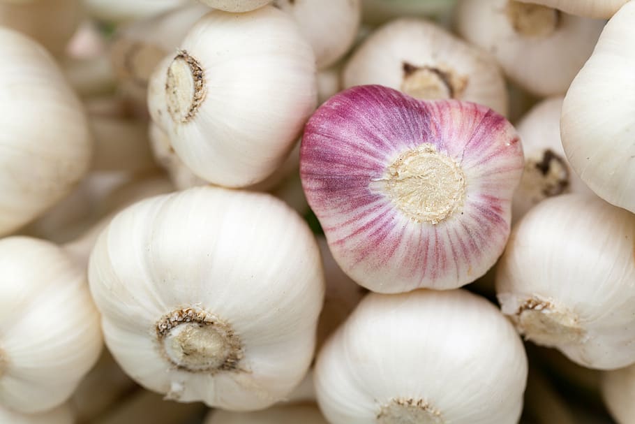 white garlic bulb lot, aromatic, background, condiment, food HD wallpaper